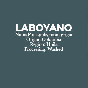 Laboyano - Colombia